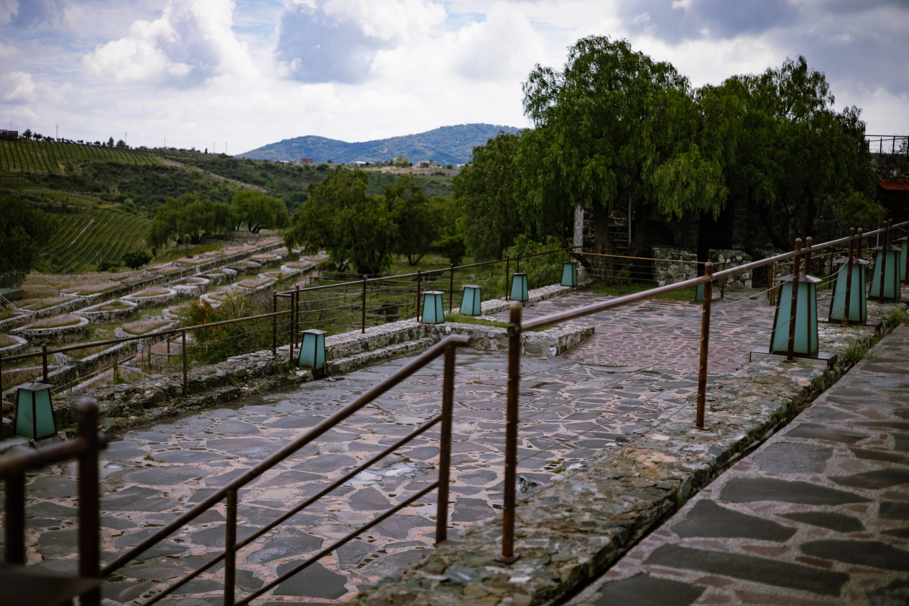 Escenario Terraza Viñedos